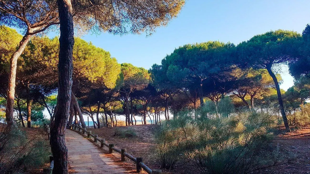 *** Hotel On Family Islantilla Spain
